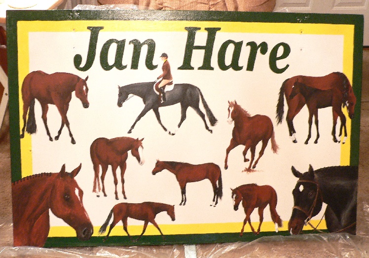 Lid to my tack box