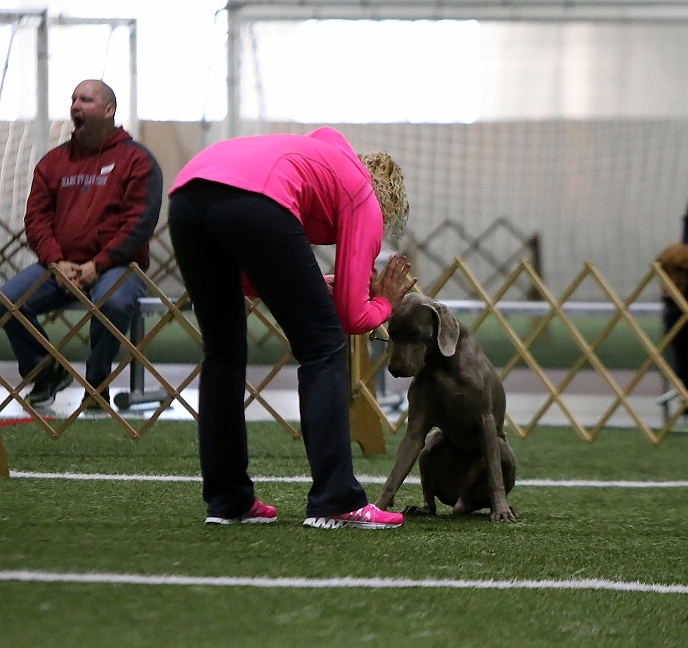 Lecturing Zpretzel on his start line stay.